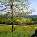23 Tage - 23 Bilder (2022) - Teil 13