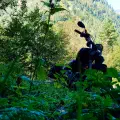 23 Tage - 23 Bilder (2022) - Teil 2