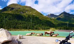 Featured image of post 23 Tage - 23 Bilder (2022) - Teil 22