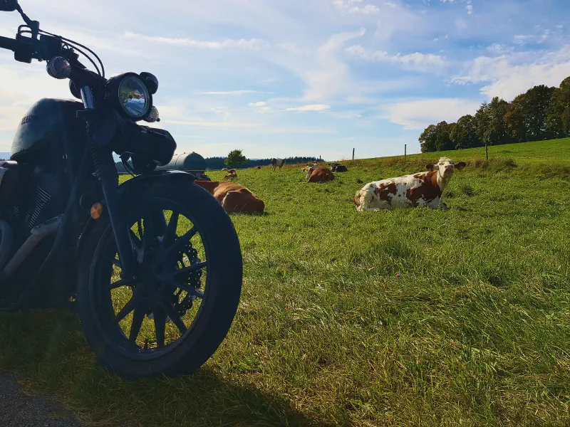 Featured image of post 23 Tage - 23 Bilder (2022) - Teil 4