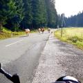 23 Tage - 23 Bilder - Teil 15