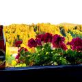 23 Tage - 23 Bilder - Teil 4