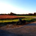 Abendsonne im September