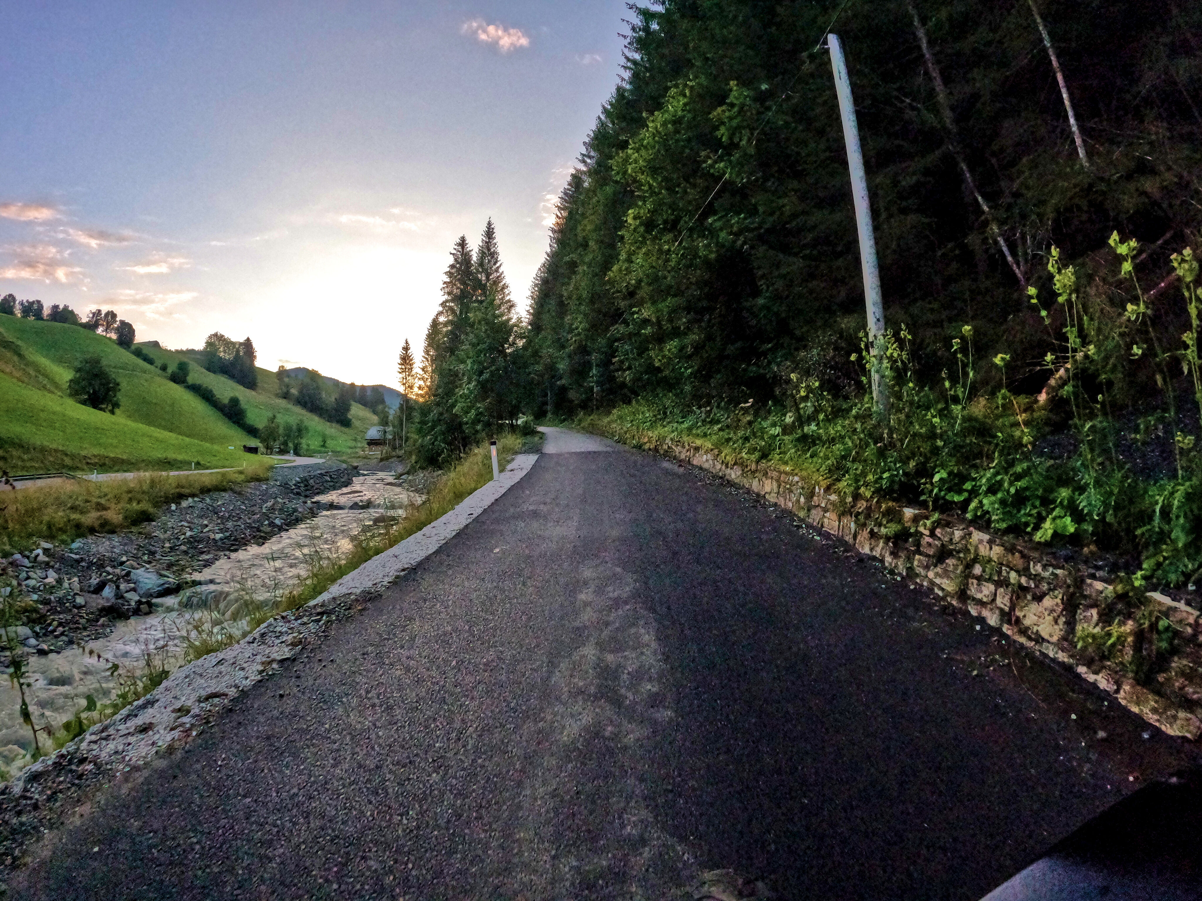 … der Sonne entgegen.