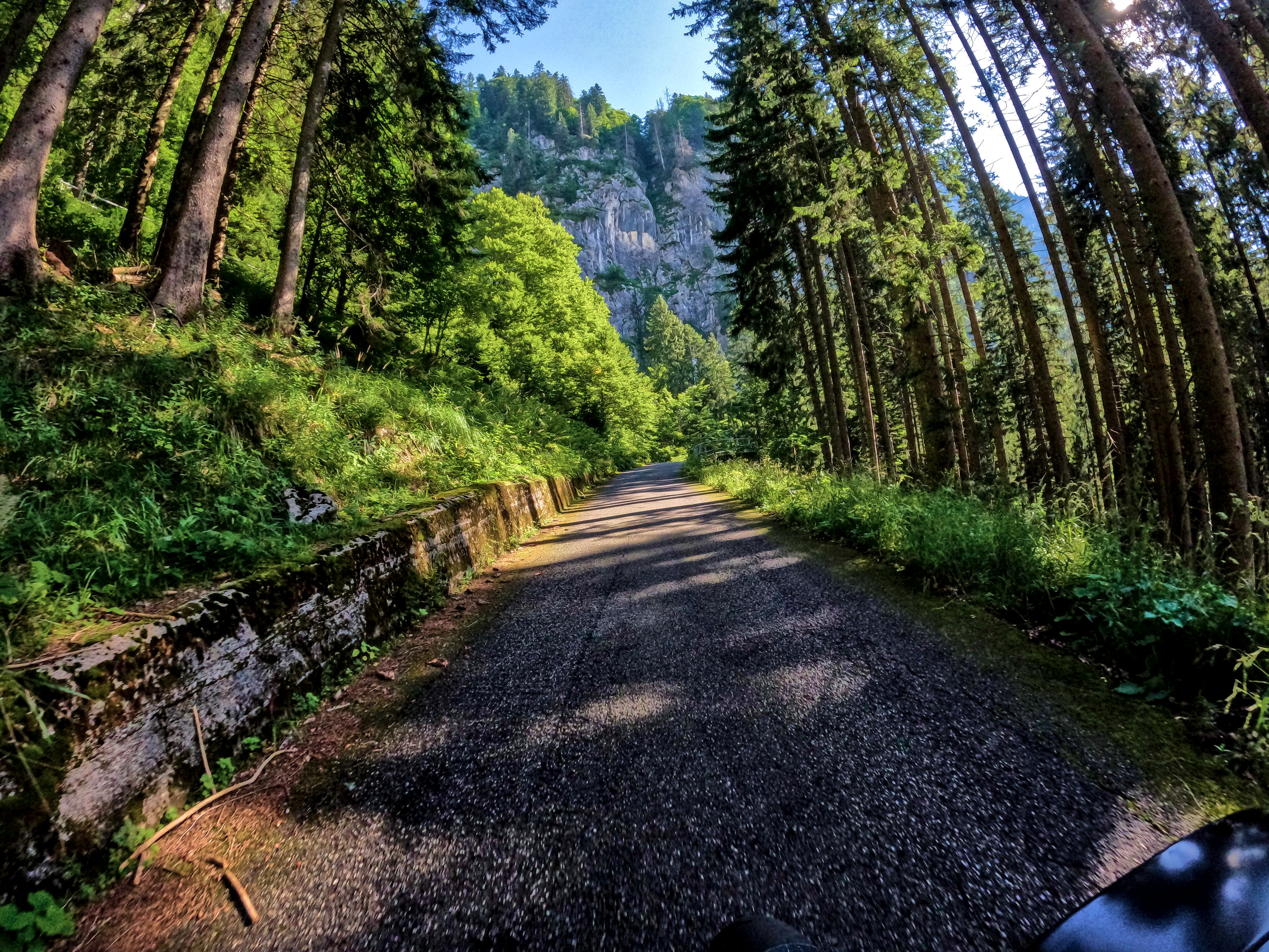 … weiter durch Wald.