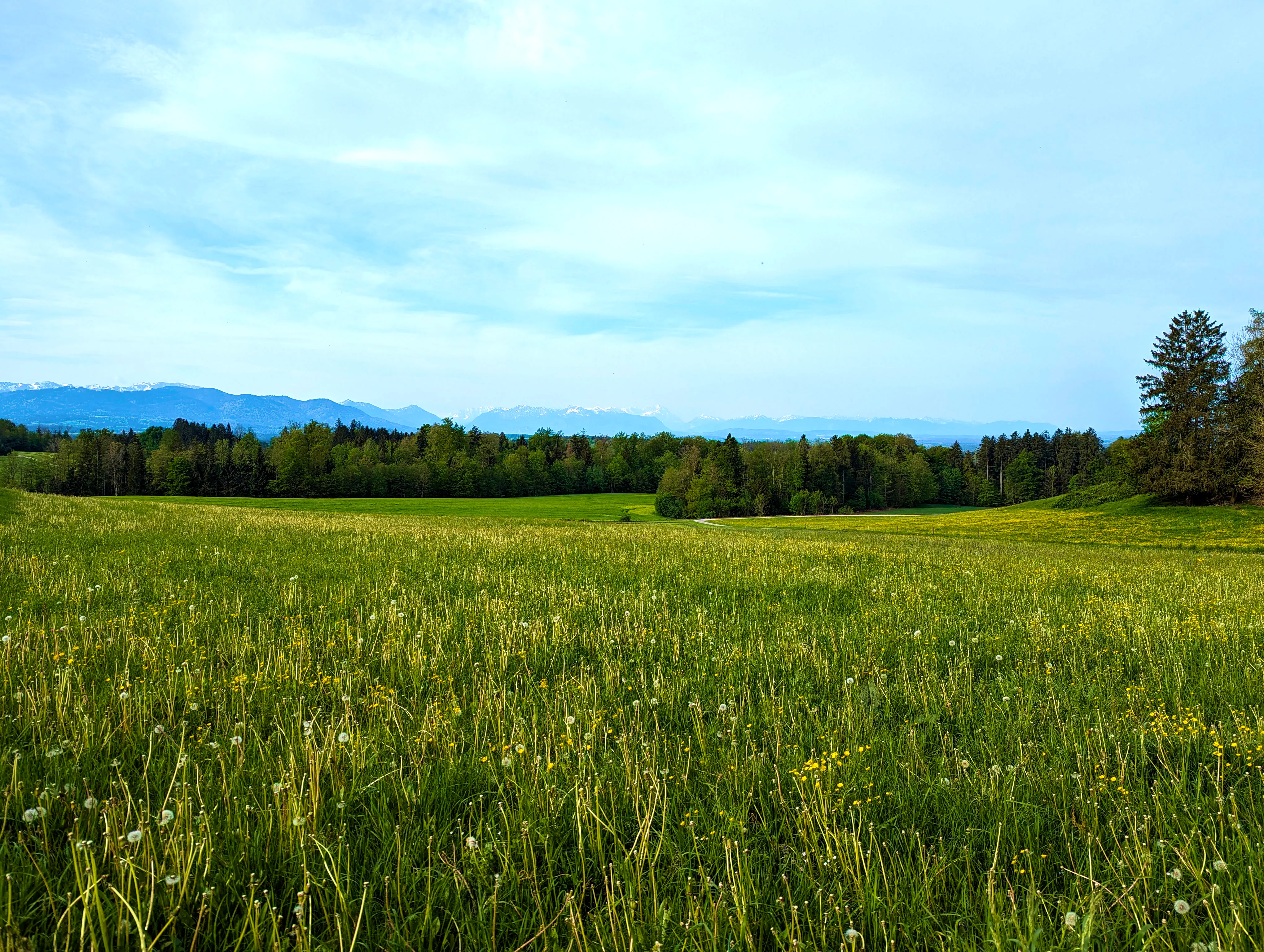 Ein schöner Tag steht bevor!