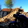 Am Anfang der Saison (1)