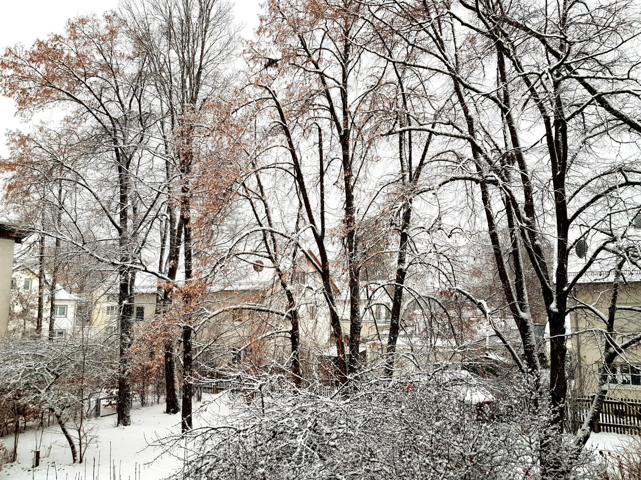 Featured image of post Blick aus dem Fenster, Nummer 2