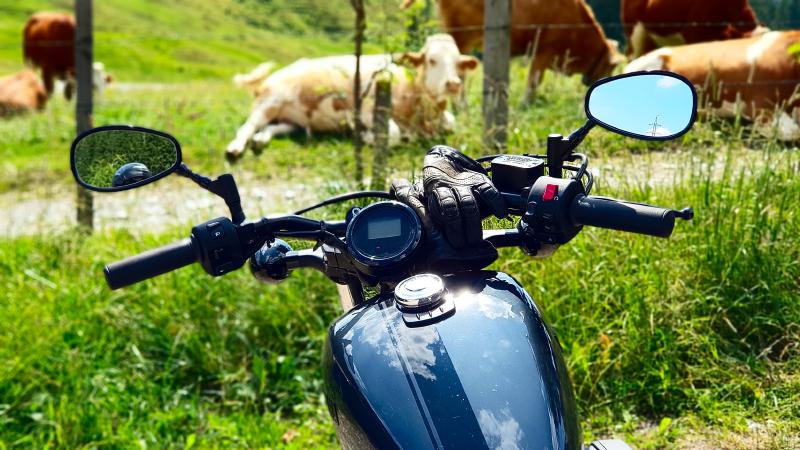 Featured image of post BÖSI - Teil 5: Finale!