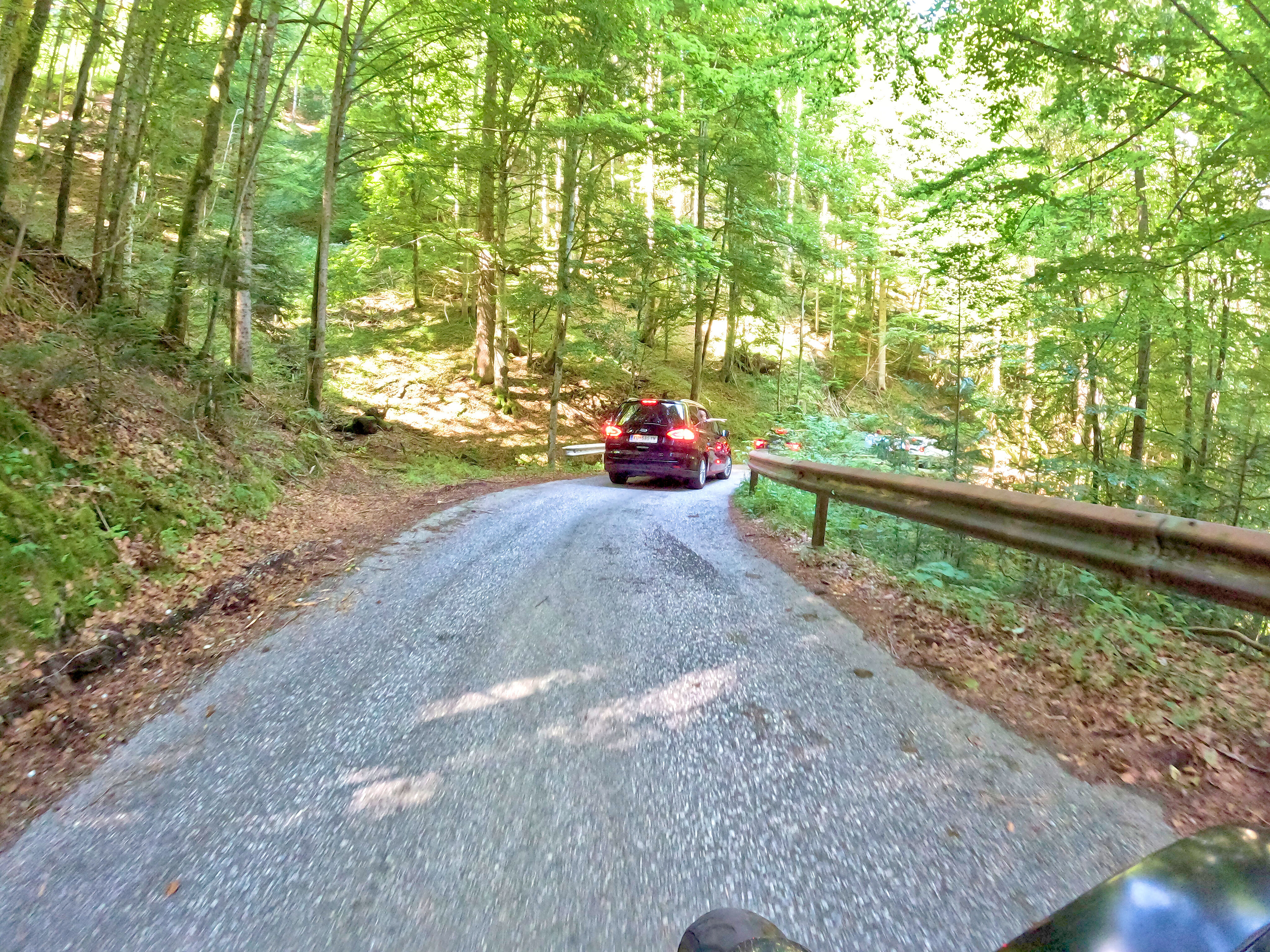 Wieder auf die Kuhgruppe aufgelaufen.