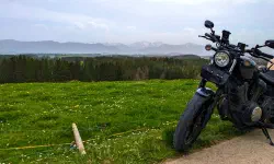 Featured image of post Die ersten Passknacker im Sahara-Staub
