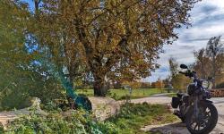 Featured image of post Die letzte Runde 2023