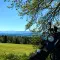Die nächsten drei Passknacker 2026
