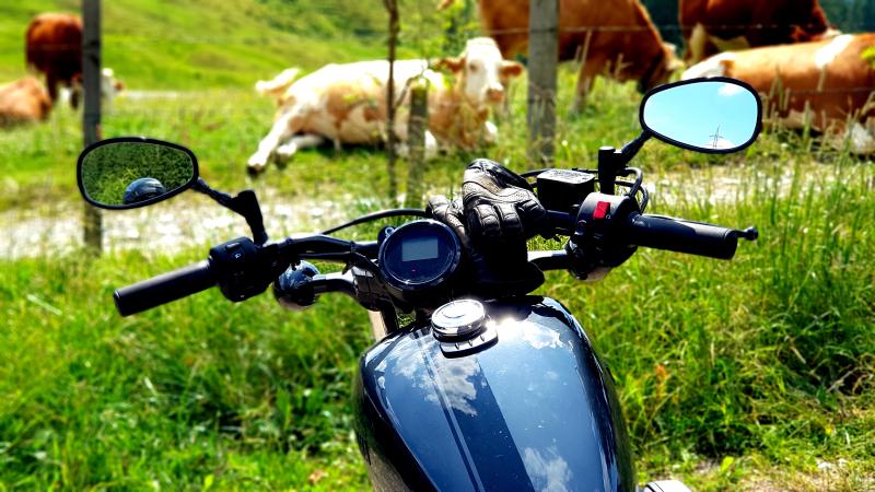 Featured image of post Die Planung steht