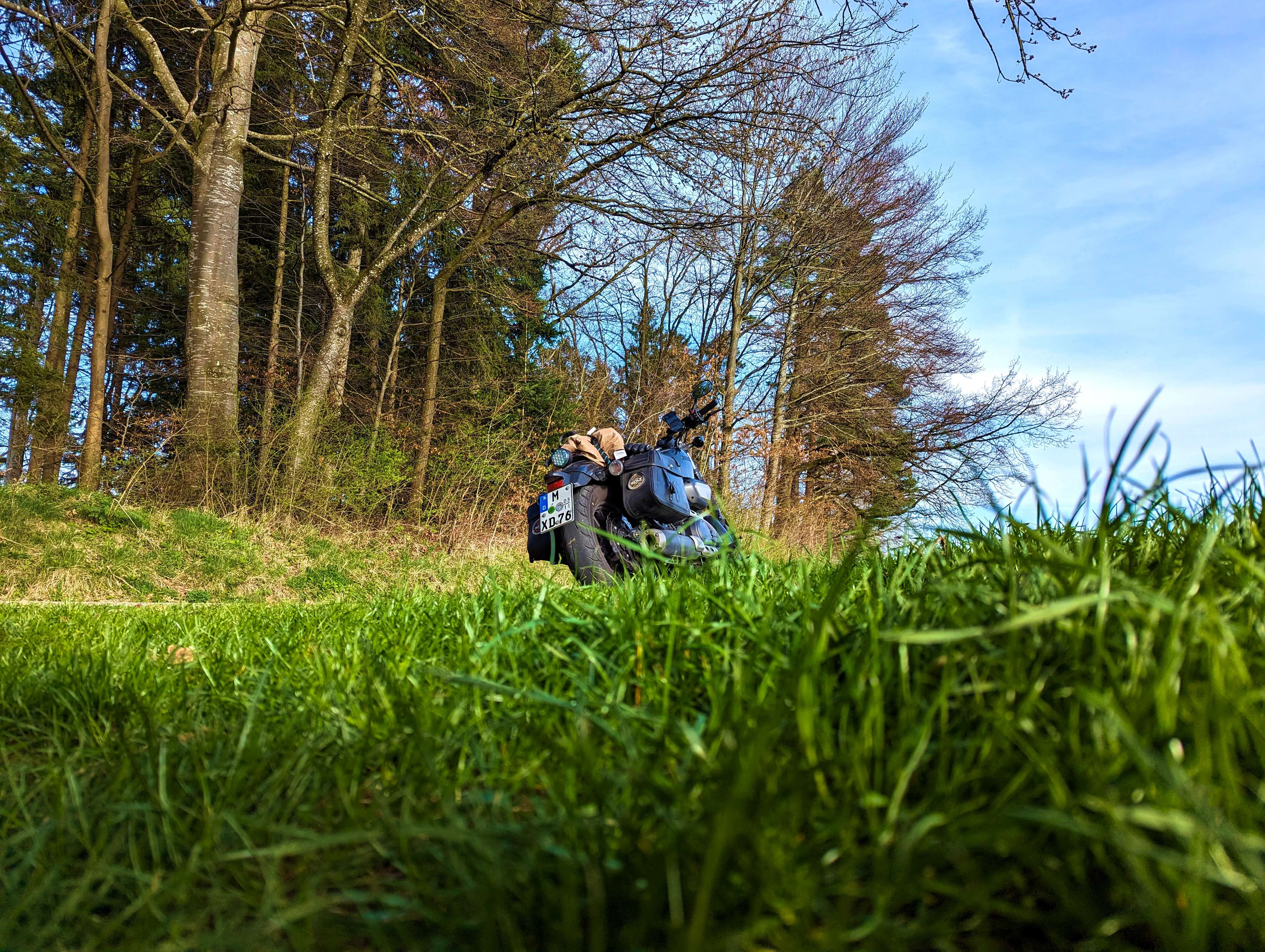 Aus dem Gras fotografiert
