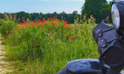 Featured image of post Early-Bird-Runde um den Ebersberger Forst