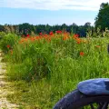 Early-Bird-Runde um den Ebersberger Forst