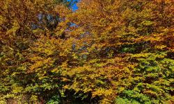 Featured image of post Ein Bild zwischendurch: Nutzt das Wetter!