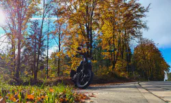 Featured image of post Erst durch den Nebel, dann viel Sonne auf dem Weg nach Franken