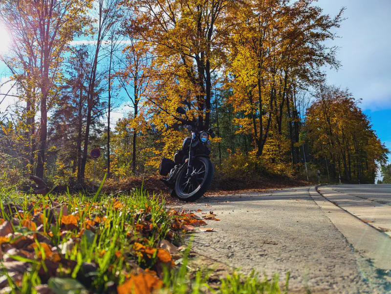 Featured image of post Erst durch den Nebel, dann viel Sonne auf dem Weg nach Franken