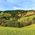 Es wird Herbst