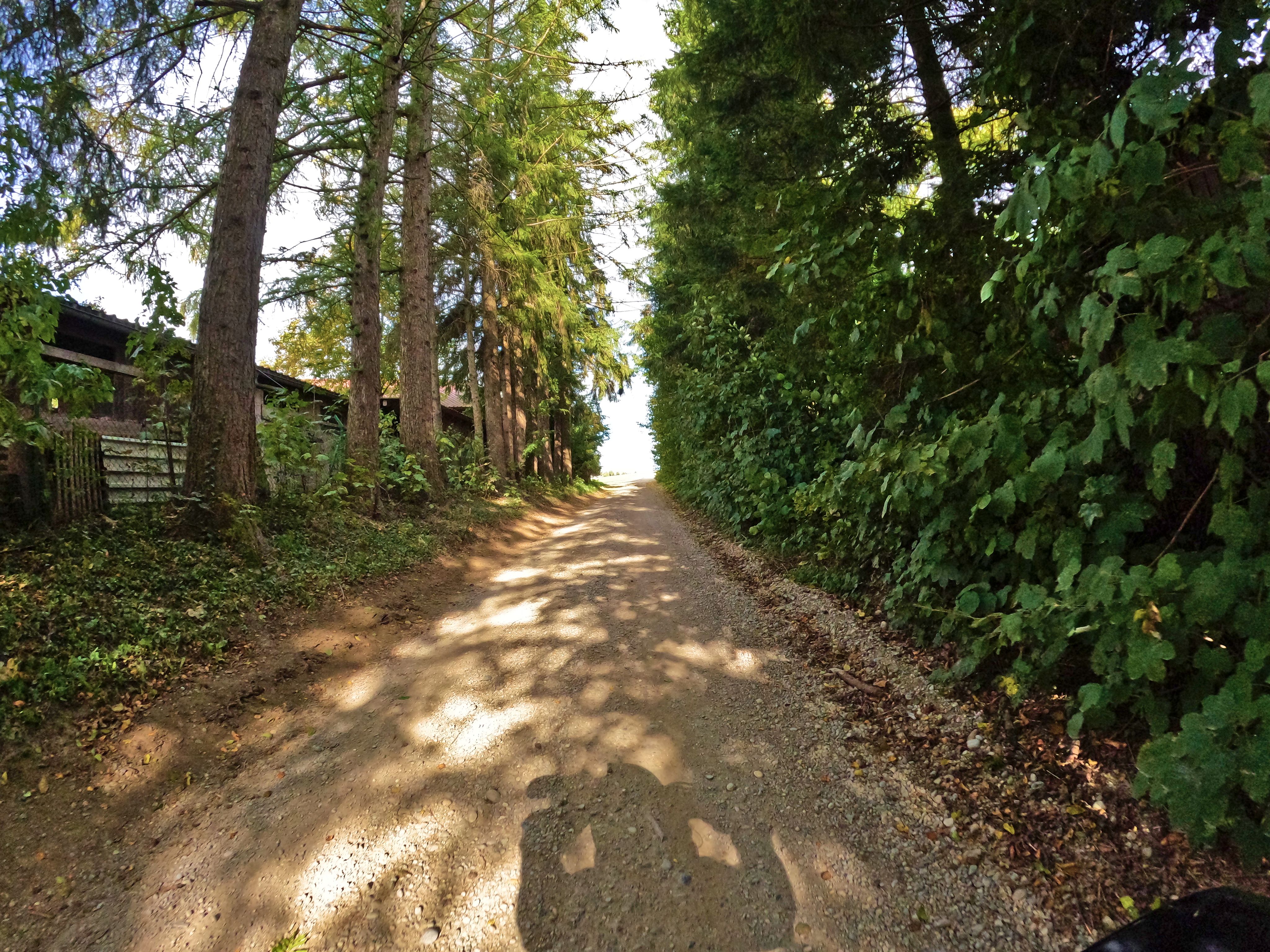 … wird zu einem …