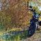 #MotoMontag (1)