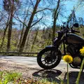 #MotoMontag (155)
