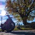 #MotoMontag (160)