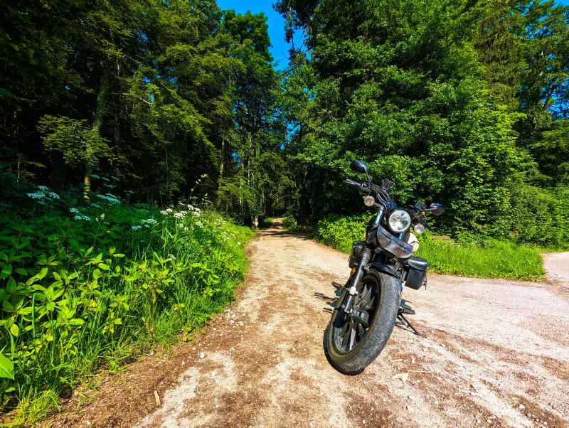 Featured image of post #MotoMontag (176)