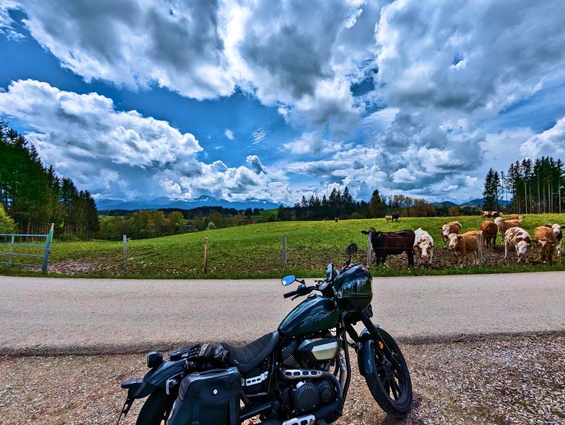 Featured image of post #MotoMontag (19)