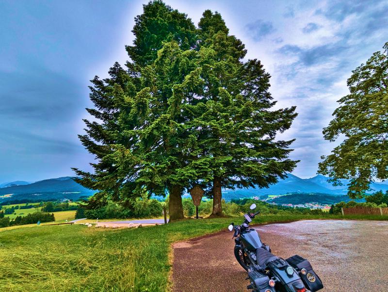 Featured image of post #MotoMontag (45)