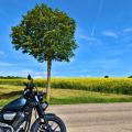#MotoMontag (59)
