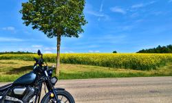 Featured image of post #MotoMontag (59)