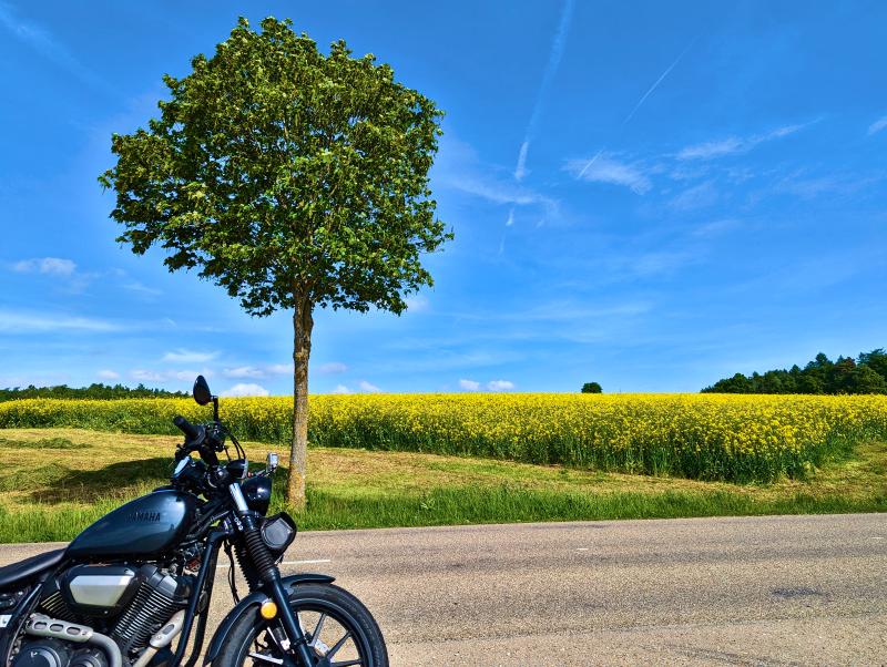 Featured image of post #MotoMontag (59)