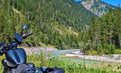 Featured image of post #MotoMontag (62)