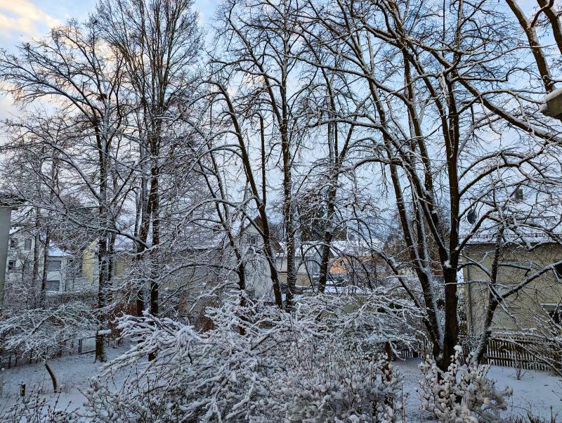 Featured image of post Neuer Schnee Ende Februar