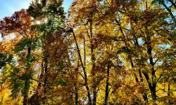 Featured image of post Noch mehr Herbst
