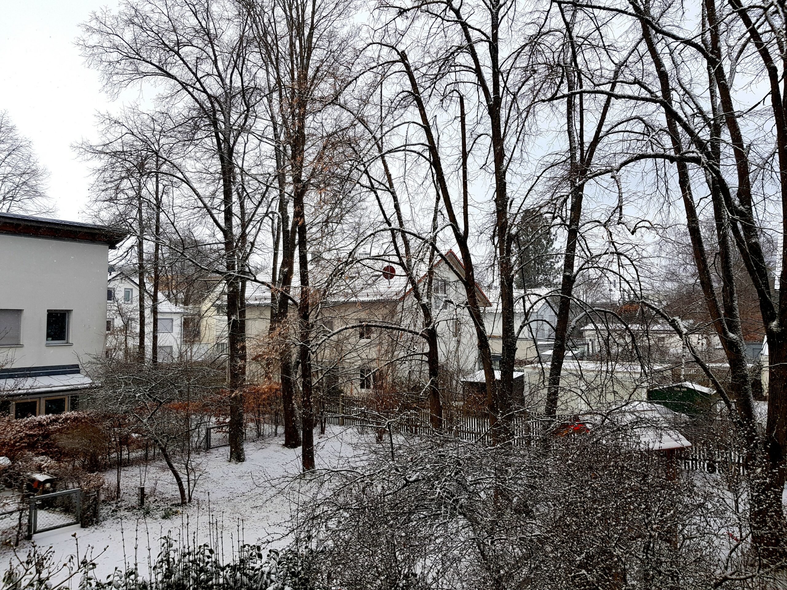 Featured image of post Schon wieder Schnee