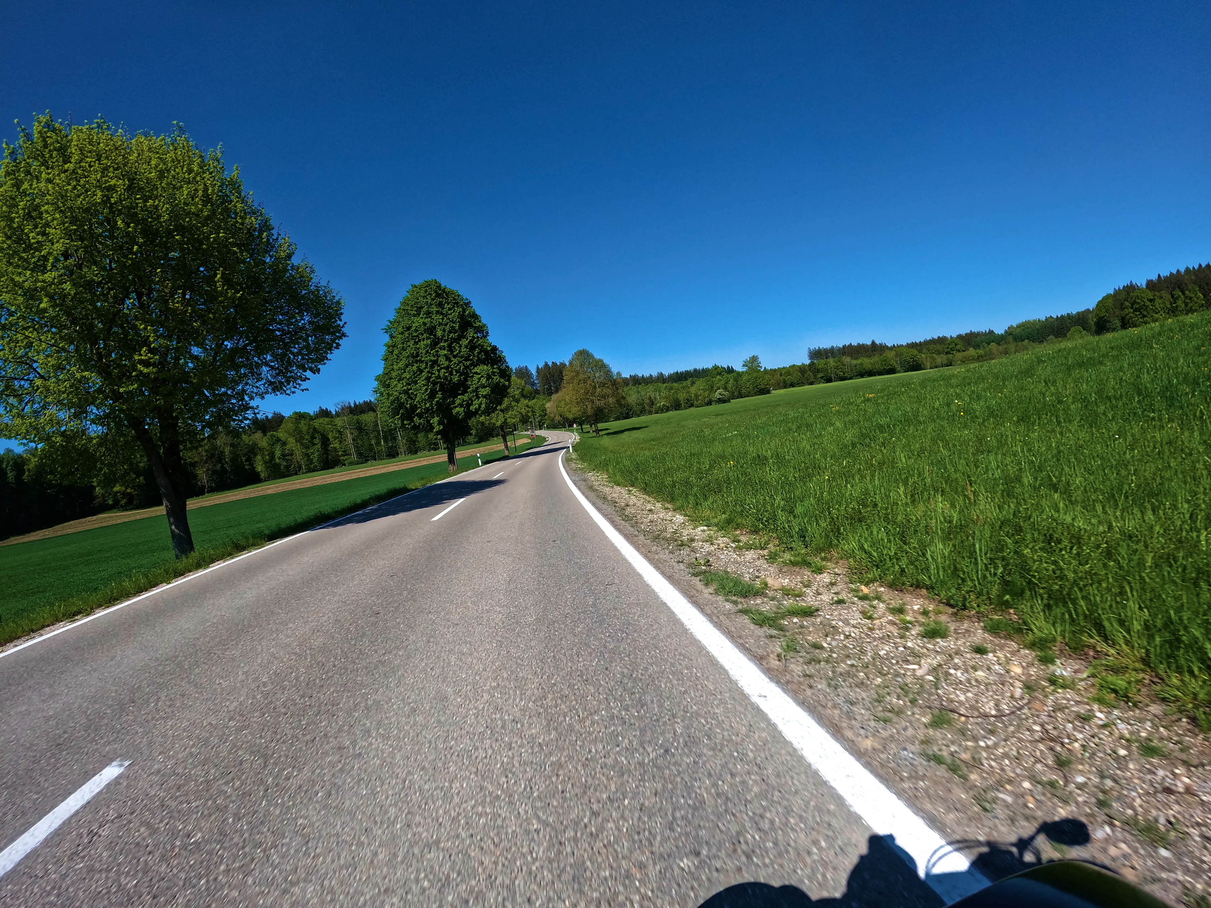 Zwischen Moosach und Buch