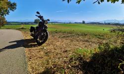 Featured image of post Überführungsfahrt nach Umzug